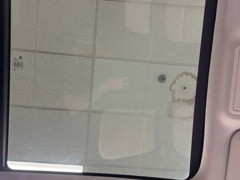 Used 2022 Ford Escape Titanium w/ Titanium Elite Package image 38