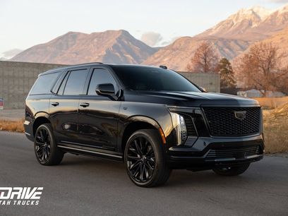 Used 2026 Cadillac Escalade Platinum Sport w/ LPO, ONYX Package