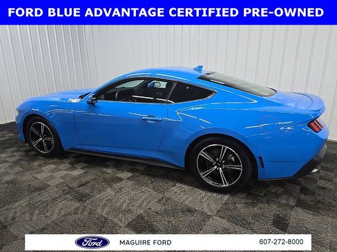 Certified 2024 Ford Mustang Premium image 6