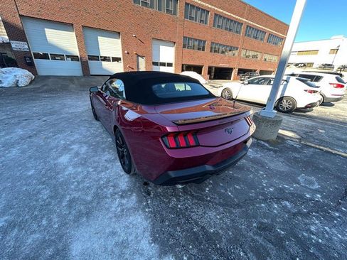 Used 2025 Ford Mustang Premium w/ Mustang Nite Pony Package image 5