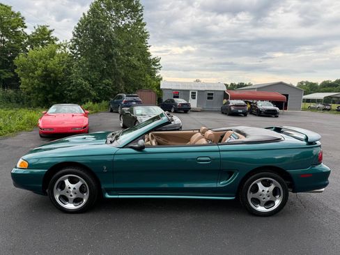 Used 1997 Ford Mustang Cobra RWD image 5