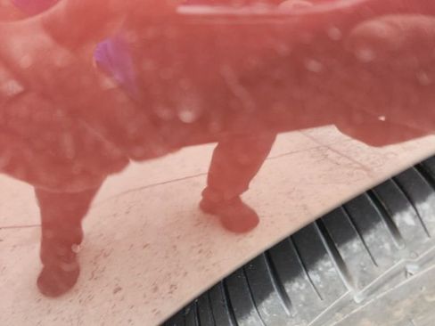 Used 2015 Ford Fusion SE w/ Equipment Group 202A image 14