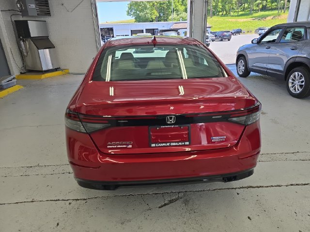 Used 2025 Honda Accord Touring image 4
