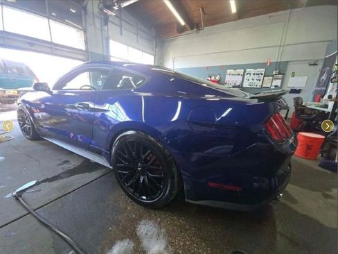 Used 2016 Ford Mustang GT Premium w/ Enhanced Security Package image 3