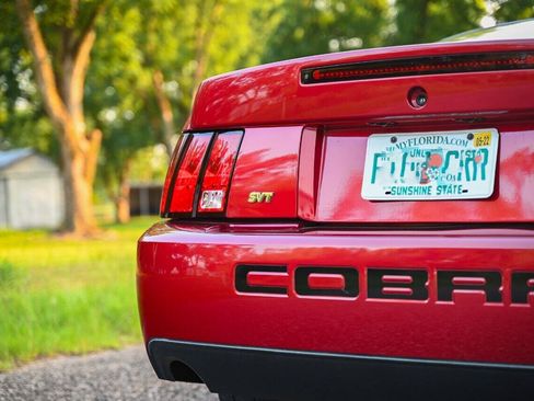 Used 2003 Ford Mustang Cobra RWD image 42