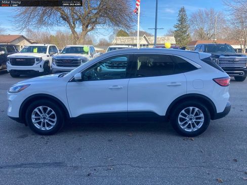 Used 2020 Ford Escape SE FWD image 8
