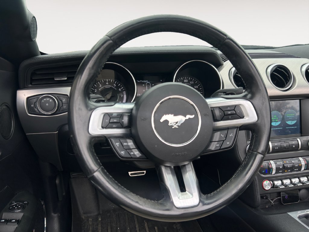 Used 2019 Ford Mustang Premium RWD image 12