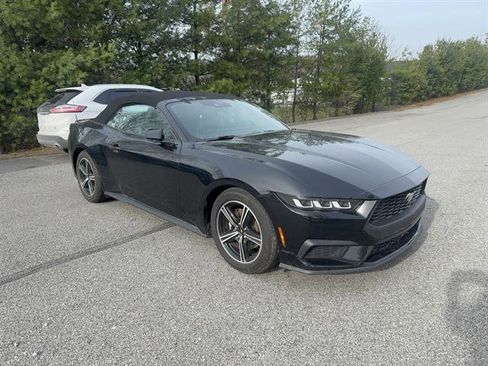 Used 2024 Ford Mustang Premium image 4