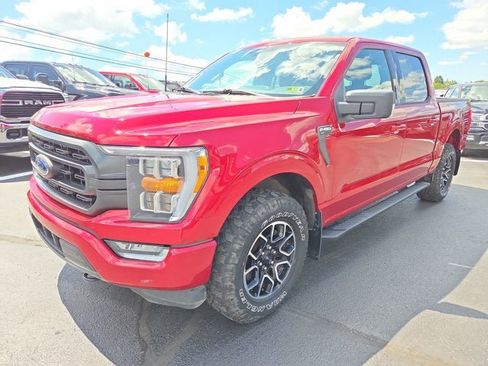 Used 2021 Ford F150 XLT w/ Equipment Group 302A High AWD/4WD image 2