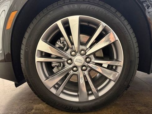 Used 2025 Cadillac XT5 Premium Luxury image 10