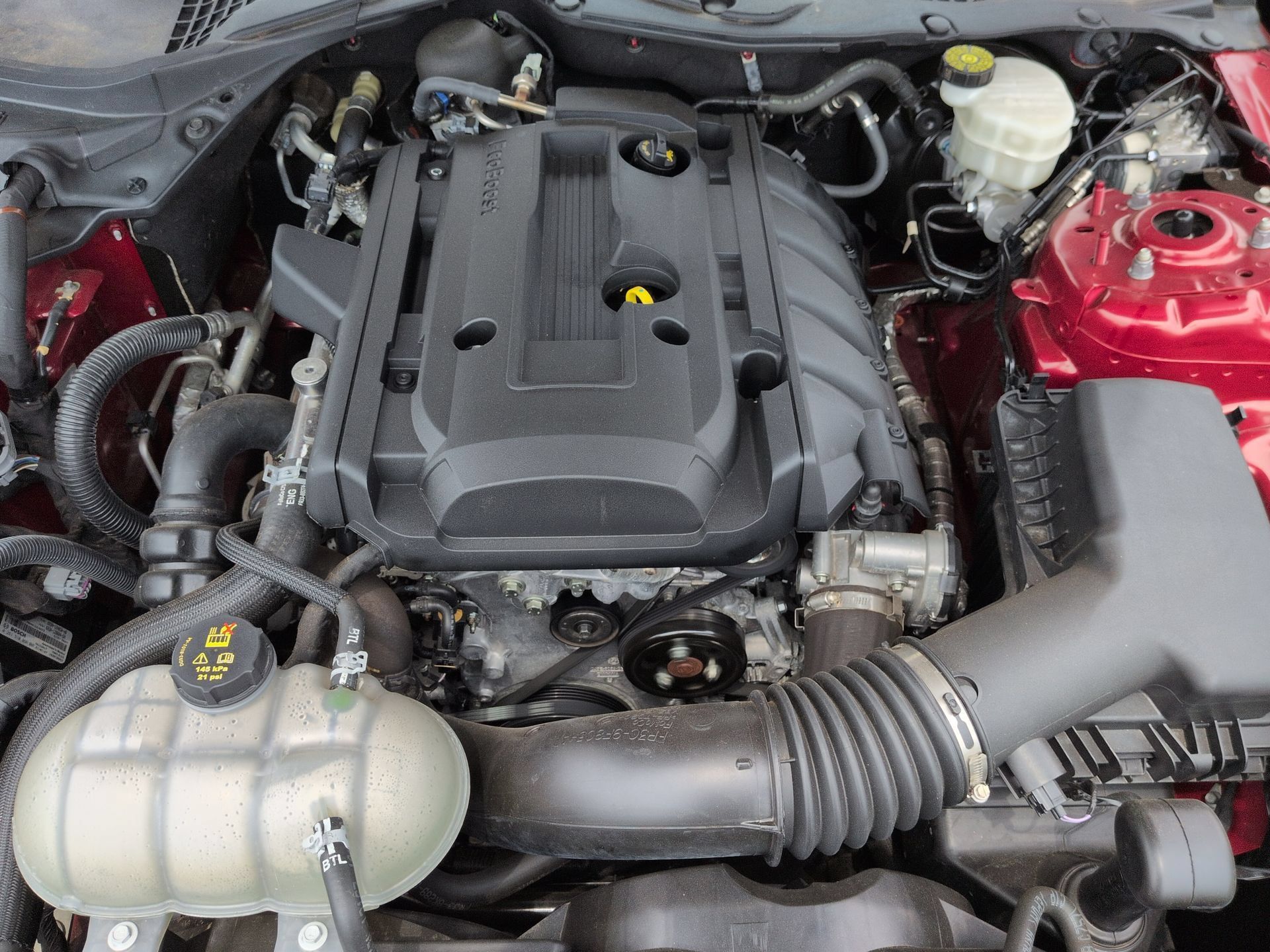 Used 2021 Ford Mustang Coupe RWD image 28
