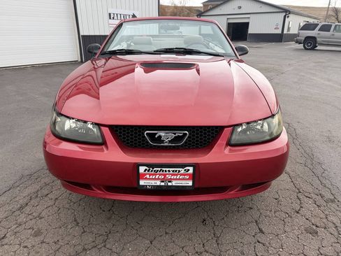 Used 2001 Ford Mustang Convertible image 6