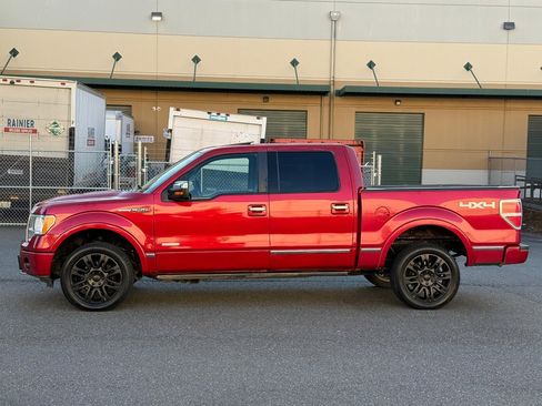 Used 2011 Ford F150 Platinum AWD/4WD image 3