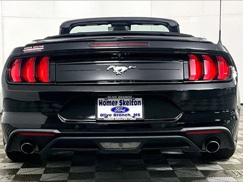 Used 2023 Ford Mustang Premium image 4