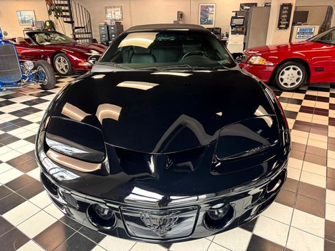 Used 2001 Pontiac Firebird Trans Am image 2