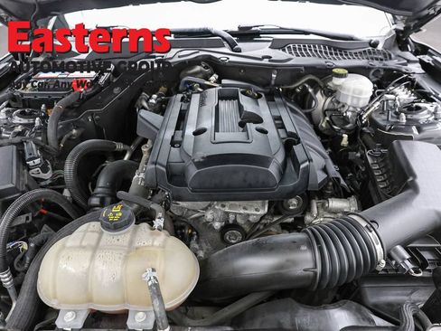 Used 2019 Ford Mustang Coupe RWD image 7