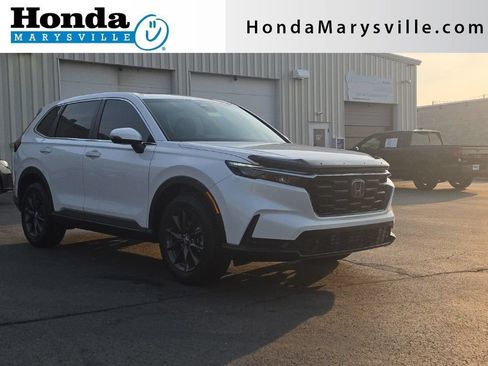 Used 2026 Honda CR-V EX-L image 1