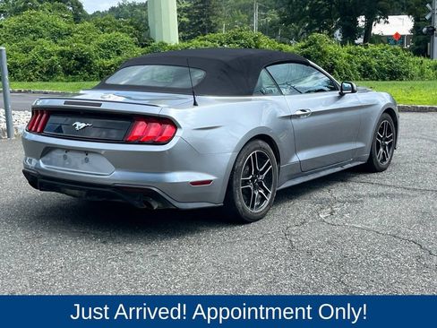 Used 2021 Ford Mustang Premium RWD image 7