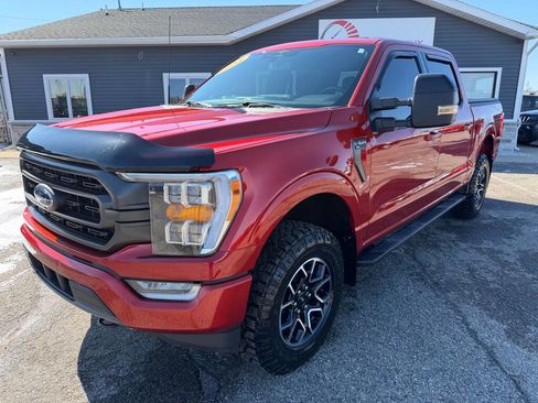 Used 2023 Ford F150 XLT w/ Equipment Group 302A High image 1