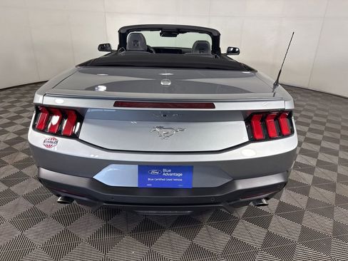 Used 2025 Ford Mustang Premium w/ Wheel & Stripe Package image 9