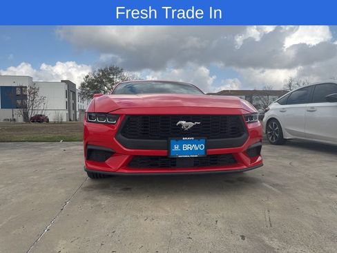 Used 2024 Ford Mustang Coupe image 1