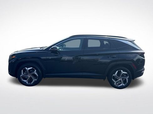 Used 2024 Hyundai Tucson Limited AWD/4WD image 2