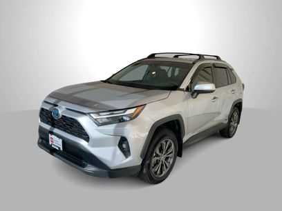 Certified 2024 Toyota RAV4 XLE Premium w/ Weather Package