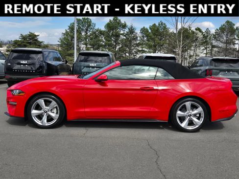 Used 2019 Ford Mustang Premium image 4
