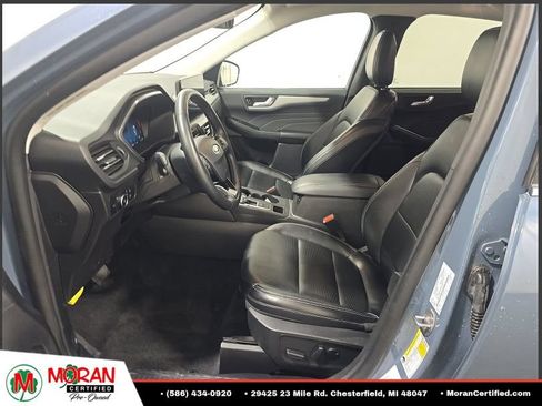 Used 2025 Ford Escape Platinum AWD/4WD image 6