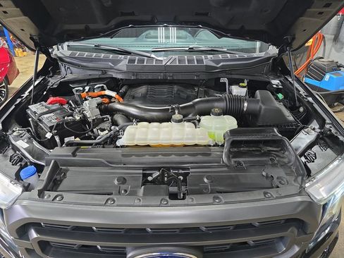 Used 2023 Ford F150 XLT w/ Equipment Group 302A High AWD/4WD image 30