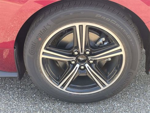 New 2025 Ford Mustang EcoBoost image 9