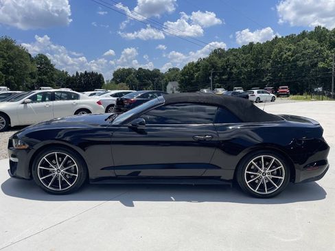 Used 2019 Ford Mustang Premium w/ Equipment Group 201A RWD image 4