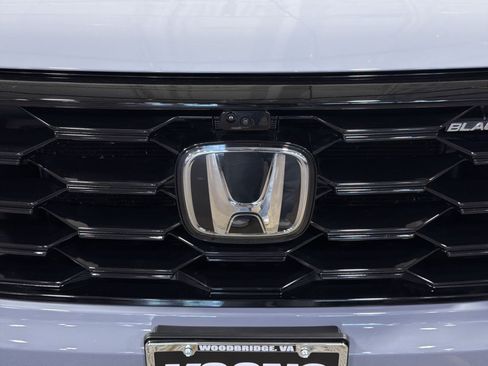 Used 2025 Honda Pilot Black Edition image 12