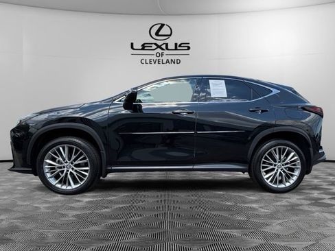 Used 2024 Lexus NX 350 AWD w/ Package Accessory (P2) image 3