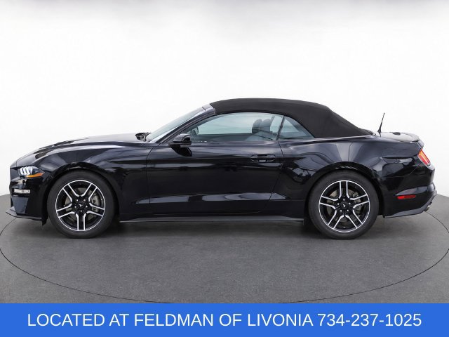 Used 2022 Ford Mustang Premium RWD image 6