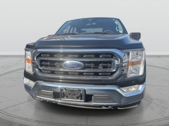 Used 2023 Ford F150 XLT w/ XTR Package AWD/4WD image 2