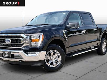 Used 2023 Ford F150 XLT w/ Equipment Group 302A High