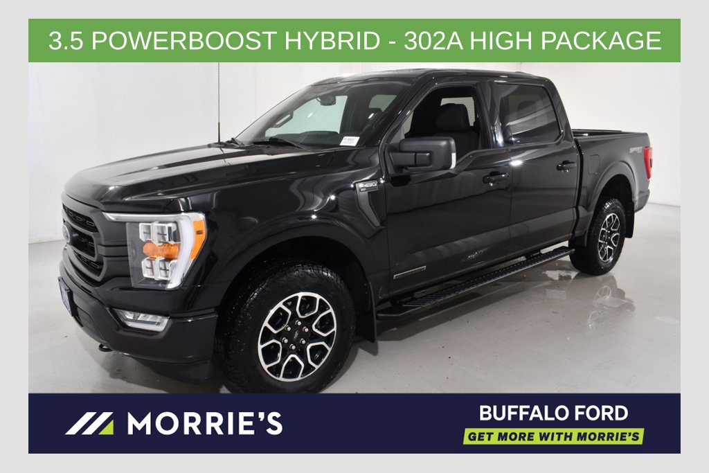 Used 2023 Ford F150 XLT w/ Equipment Group 302A High AWD/4WD image 1
