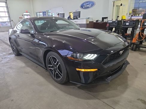 Used 2022 Ford Mustang Premium image 3