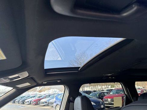 New 2026 Hyundai Palisade Calligraphy image 10