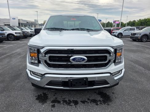 Used 2023 Ford F150 XLT w/ Equipment Group 302A High image 8