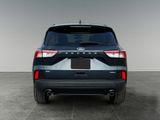 Used 2022 Ford Escape SE w/ SE Sport Appearance Package image 6