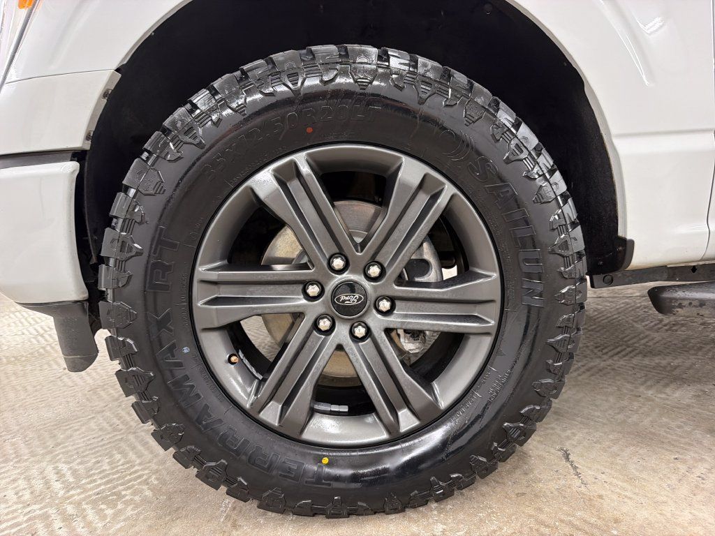 Used 2023 Ford F150 XLT w/ Equipment Group 302A High AWD/4WD image 13