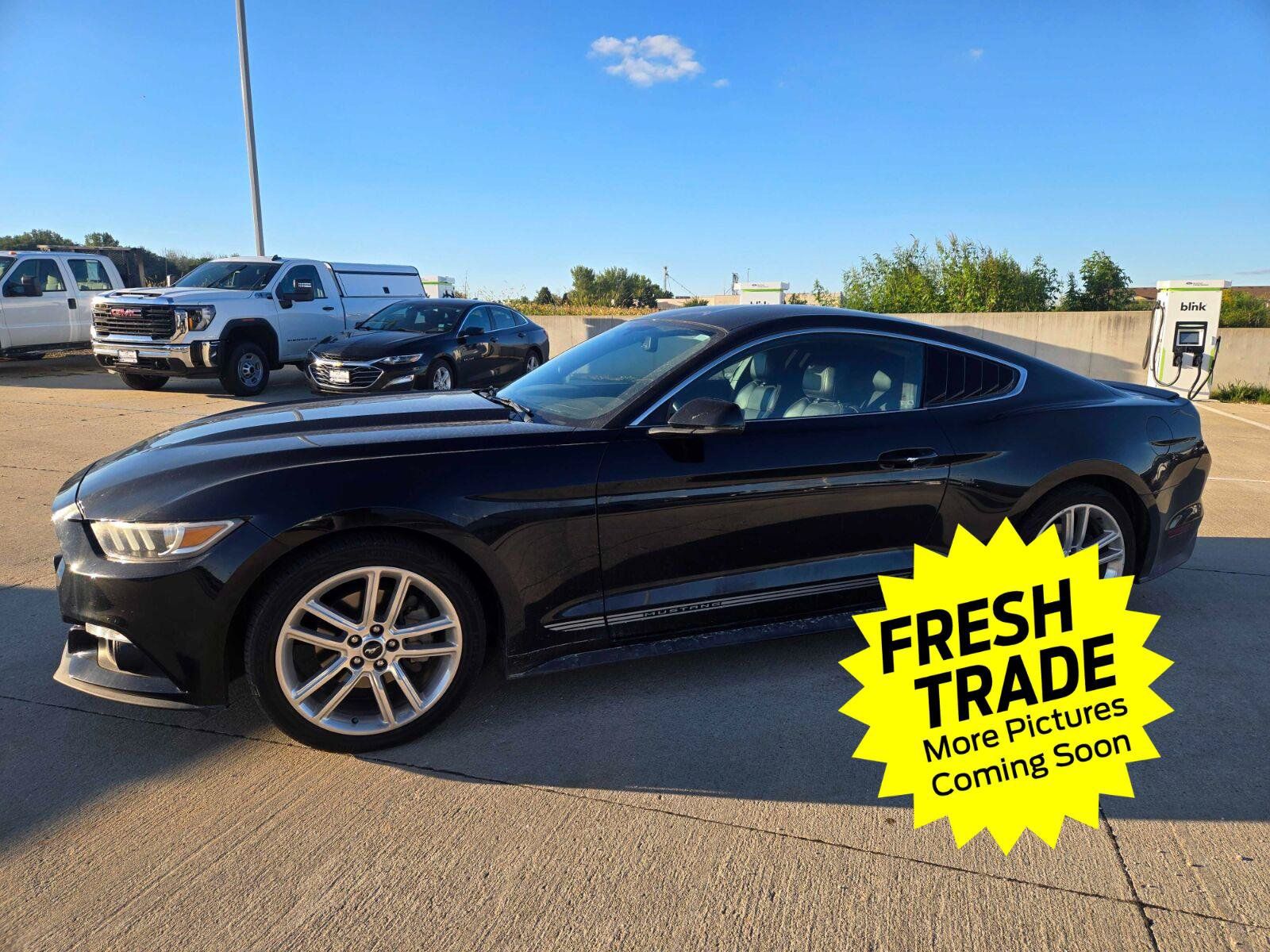 Used 2017 Ford Mustang Premium w/ Equipment Group 201A RWD image 1