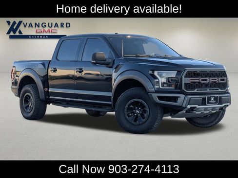Used 2017 Ford F150 Raptor w/ Equipment Group 802A Luxury AWD/4WD image 1