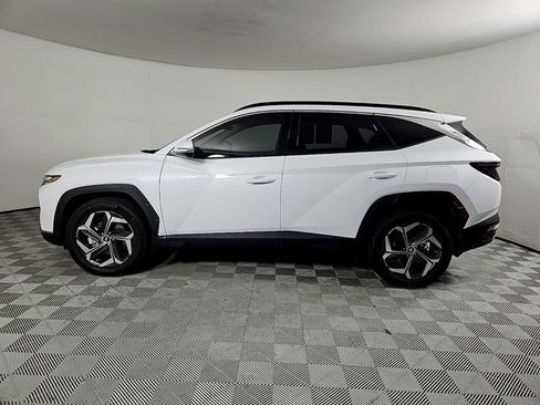 Used 2023 Hyundai Tucson Limited AWD/4WD image 7