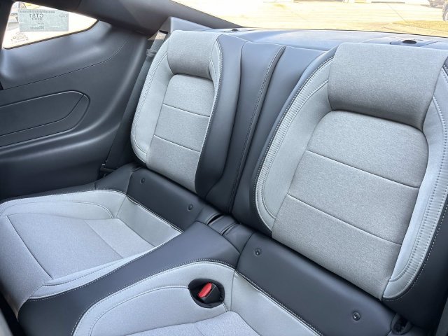 New 2026 Ford Mustang Coupe w/ Mustang Nite Pony Package RWD image 16
