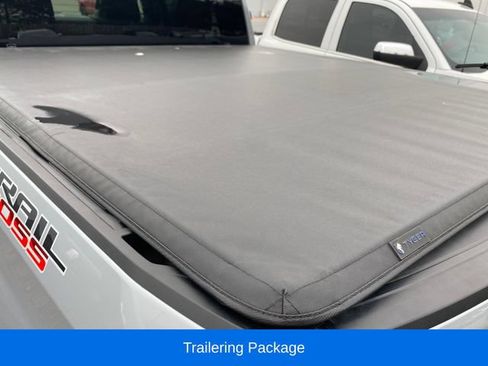 Certified 2024 Chevrolet Silverado 1500 LT Trail Boss w/ Protection Package AWD/4WD image 8