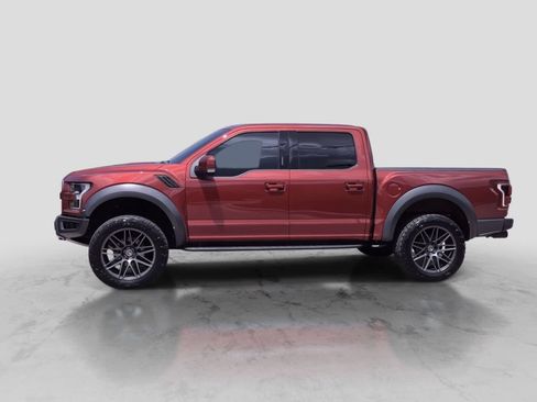 Used 2019 Ford F150 Raptor w/ Equipment Group 802A Luxury AWD/4WD image 5