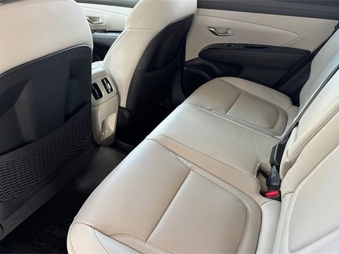 New 2025 Hyundai Tucson Limited image 12